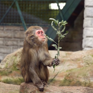 Логотип телеграм канала @bordofins — Культура
