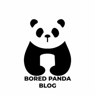Telegram kanalining logotibi boredpandablog — Bored Panda