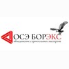Логотип телеграм канала @boreks_ru — ОСЭ BOREKS / Борис Мастер