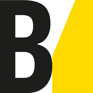 Логотип телеграм канала @borelly_ru — Borelly.ru