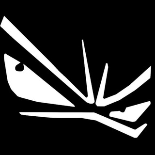 Логотип телеграм канала @borgehokage228 — берлога борга