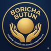 Telegram kanalining logotibi borichabutun — BORICHA butun