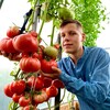 Логотип телеграм канала @borissoninsemena — Помидорный рай с Борисом Сониным