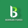Logo of telegram channel borkanfx — BORKAN FOREX