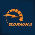 Logo saluran telegram bornikaco — Bornika
