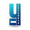 Логотип телеграм канала @borovici — ЧП Боровичи | Новостник