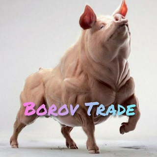 Логотип телеграм канала @borovtrade — Borov Trade