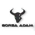 Telegram channel Borsa Adam logo