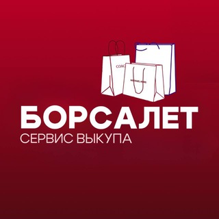 Логотип телеграм канала @borsalet_nalichie — Москва Внуково Экспресс доставка