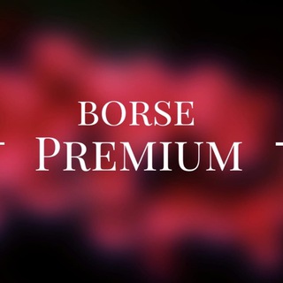 Telegram channel Borse_casa_premium logo