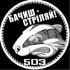 Логотип телеграм -каналу borsuky_503 — 503_Борсуки