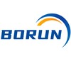 Логотип телеграм канала @borunrussia — BORUNSHINA