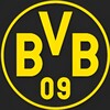 Логотип телеграм канала @borussiashmeli — Borussia Dortmund | Желто-черный улей 🖤💛