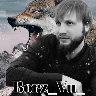 Логотип телеграм канала @borz_vu_95 — BORZZ