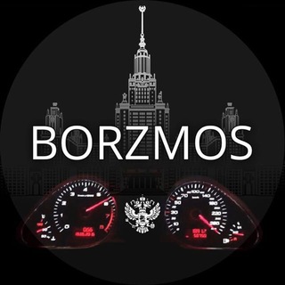 Логотип телеграм канала @borzm0s — BORZMOS