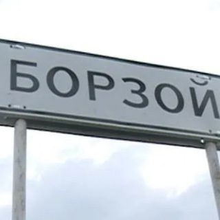 Логотип телеграм канала @borzoyastra — Астрахань-Борзой мобилизованные