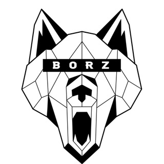 Логотип телеграм канала @borzwear — BORZ