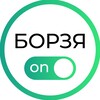 Логотип телеграм канала @borzya_online — Борзя Онлайн