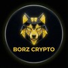 Логотип телеграм канала @borzz_crypto — BORZ | CRYPTO