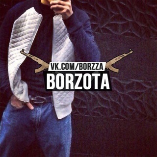 Логотип телеграм канала @borzza — 👊 Borzota