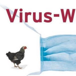 Logo des Telegrammkanals boschimoliestviruswahn - Boschimo liest "Viruswahn"