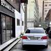 Логотип телеграм канала @botanikauto — •BOTANIKA CAR•