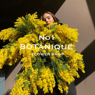 Логотип телеграм канала @botanique_no1 — botanique no1