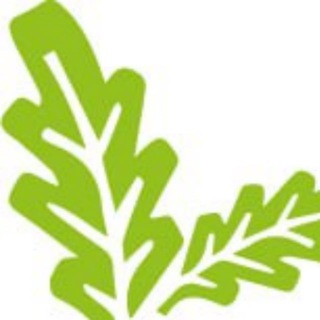 Логотип телеграм канала @botdendro — Ботаника и дендрология🌳