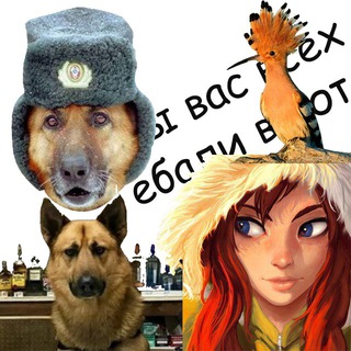 Логотип телеграм канала @botebalvasvrot — Цитаты великих ботов