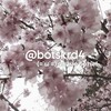 Логотип телеграм канала @botskrd4 — аниме боты !