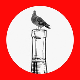 Логотип телеграм канала @bottle_neck — Узкие проходы