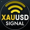 Logo of telegram channel bountydetectives — XAUDUSD FX TRADING SINGNAL (FREE)