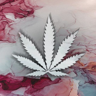 Telegram kanalining logotibi bountymix2022 — 💲MUSCAT💲