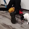 Логотип телеграм канала @bowietiee — нерд алерт