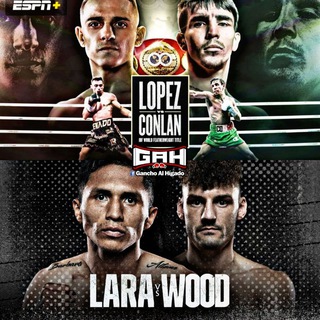 Telegram channel Boxeo En Vivo logo