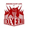 Telegram channel 🔥 BoxerLV🔥 Бокс - моя жизнь ! logo