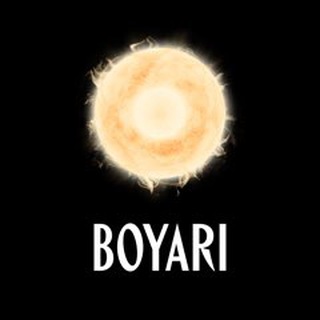 Логотип телеграм канала @boyari_store — BOYARI