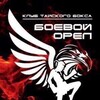 Логотип телеграм канала @boyevou_orel — Боевой орел 🦅