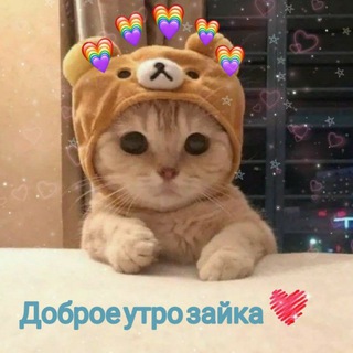 Логотип телеграм канала @bp_tests — Тесты 😎👍