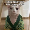 Логотип телеграм канала @bpdrofls — прл в схемах и мемах🤍🖤