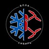 Логотип телеграм канала @bplasib — БПЛА-Сибирь