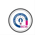 Logo saluran telegram bpscconceptwallah — BPSC Concept Wallah