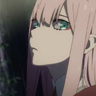 电报频道的标志 bpsheel — 鹤望兰