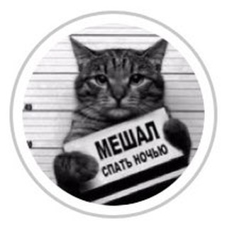 Логотип телеграм канала @bq_cats — Bq_cats