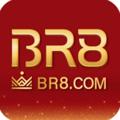 Logo de la chaîne télégraphique br8bet - BR8.COM | Promoções e Notícias | Canal Oficial