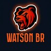 Логотип телеграм канала @br_watson — WatsonBR