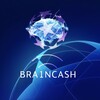 Логотип телеграм канала @bra1ncash — Ставки с умом 🧠