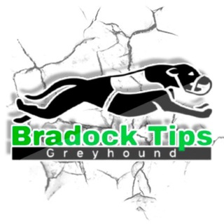 Logotipo do canal de telegrama bradocktipsfree - BradockTips 🐶✅ [ FREE ]