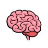 Логотип телеграм канала @brafacts — Brain Facts 🧠