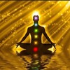 Logo of telegram channel brahmacharya_is_life — Brahmacharya is Life